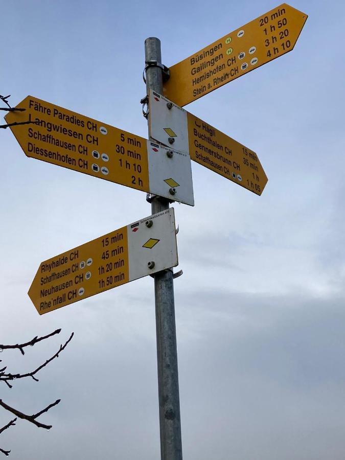 Buesingen Am Hochrhein Radfahren, Wandern, Natur Geniessen Bagian luar foto