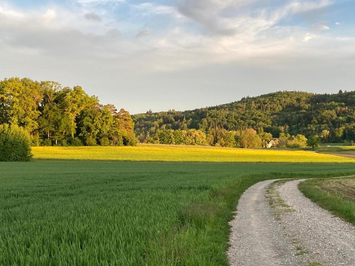 Buesingen Am Hochrhein Radfahren, Wandern, Natur Geniessen Bagian luar foto