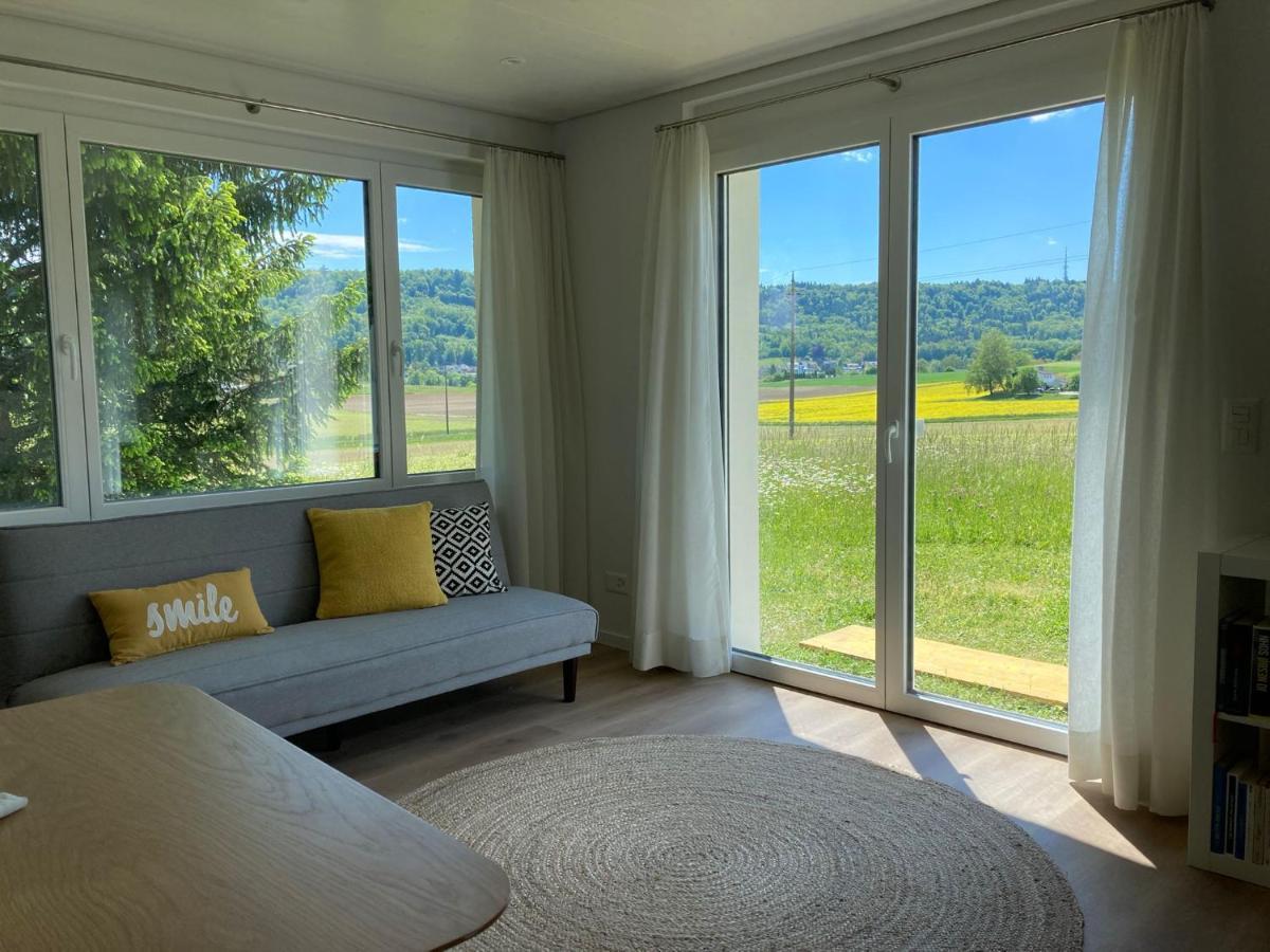 Buesingen Am Hochrhein Radfahren, Wandern, Natur Geniessen Apartment Bagian luar foto