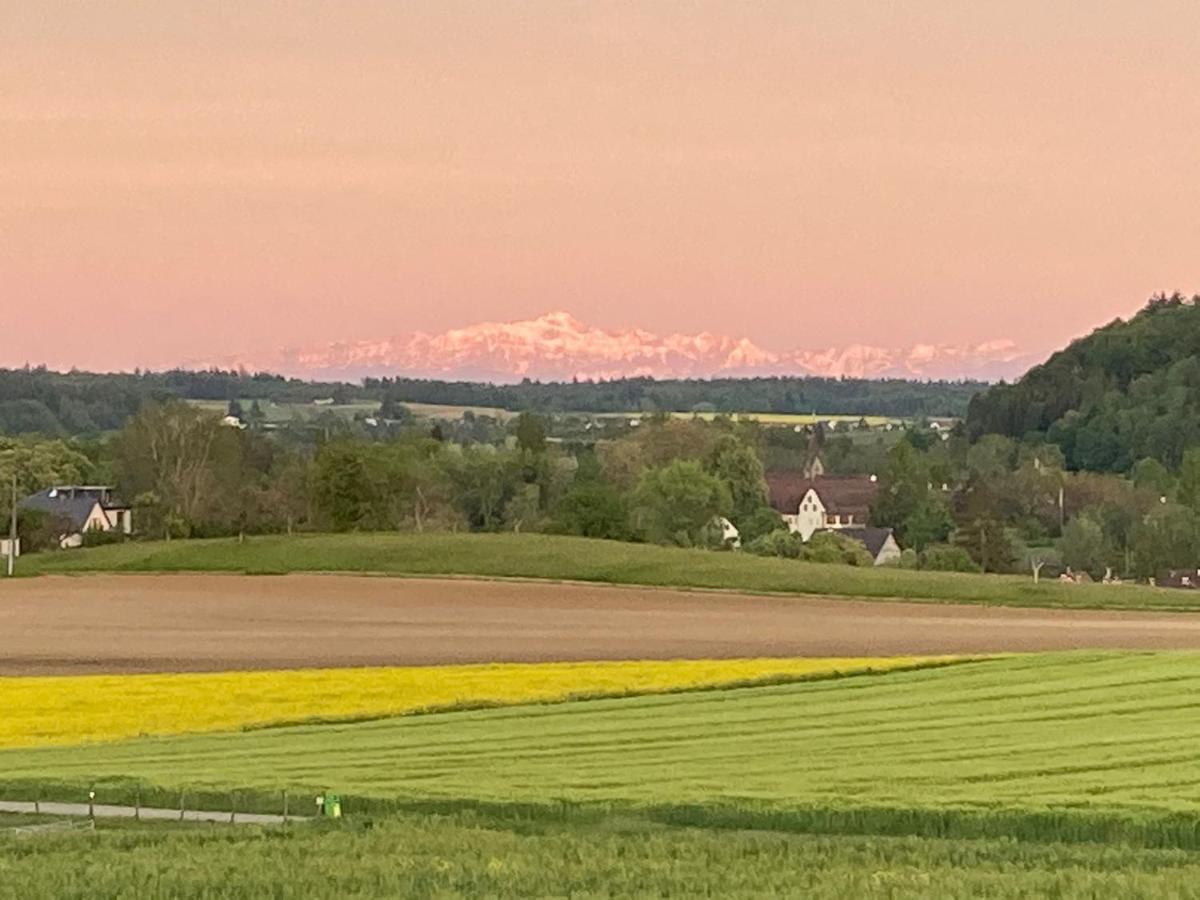 Buesingen Am Hochrhein Radfahren, Wandern, Natur Geniessen Apartment Bagian luar foto