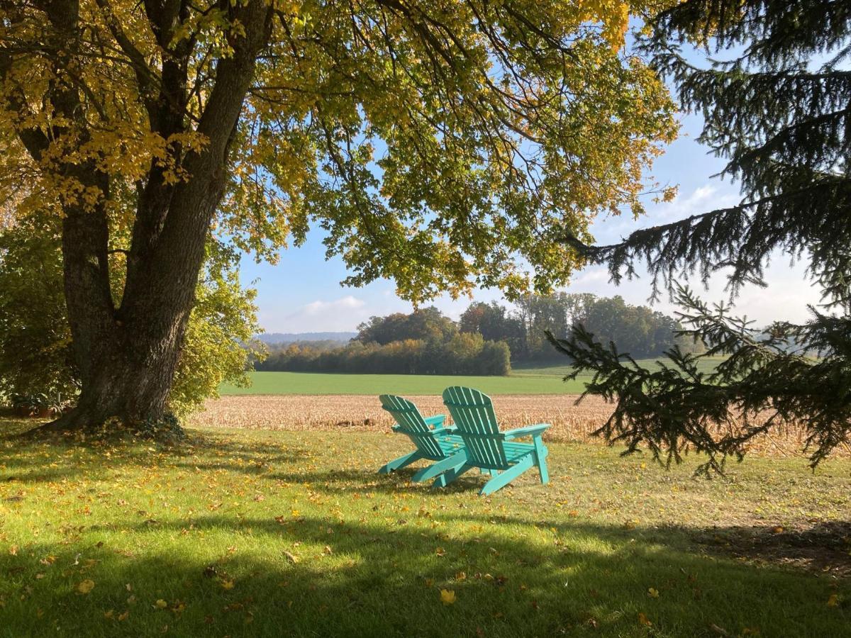 Buesingen Am Hochrhein Radfahren, Wandern, Natur Geniessen Apartment Bagian luar foto